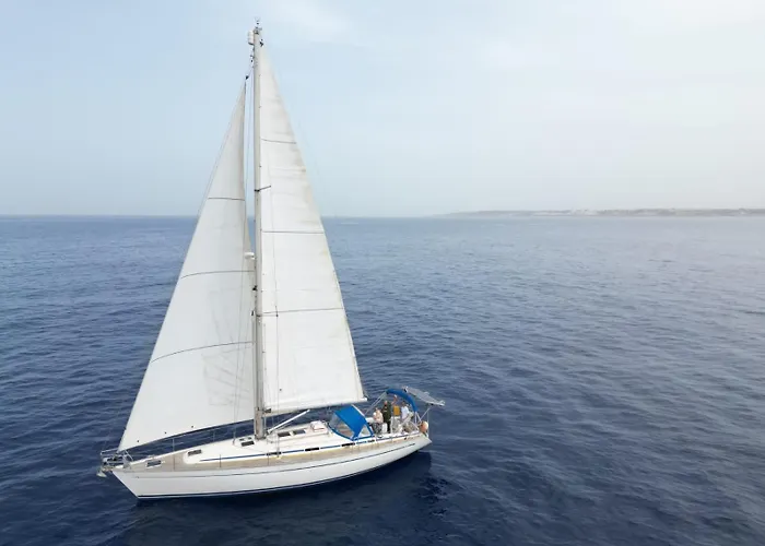 Botel Entire Boat 3 In *